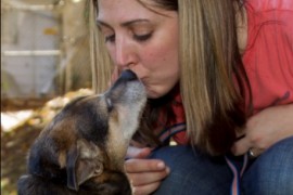 Francisvale Home for Smaller Animals